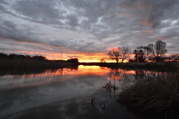 Sunrise over the Leiner See lake in the Middle Elbe Biosphere Reserve