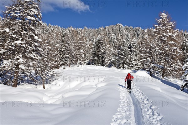 Ski tourer during the ascent of Mt Juribrutto