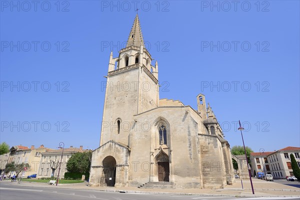 Eglise collegiale Ste Marthe