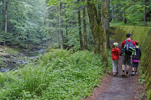 Hikers in the Wildbachklamm Buchberger Leite geotope