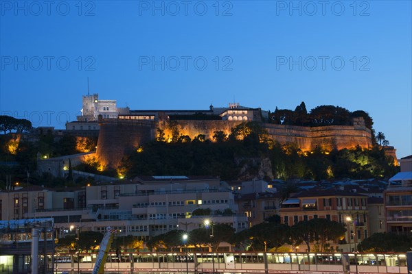 Prince's Palace of Monaco or Palais Princier de Monaco