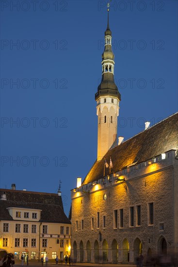 Town Hall in the evening