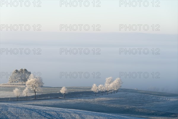 Country road with frost at Witthoh ridge