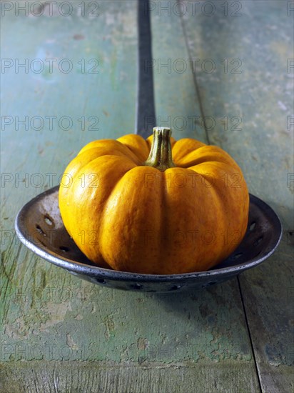 Mini pumpkin