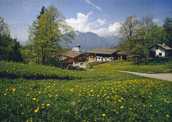 Wamberg in front of Kramer Mountain