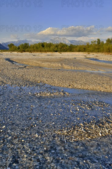 Tagliamento braided river