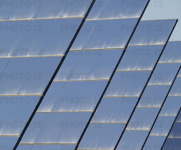 Rows of solar panels