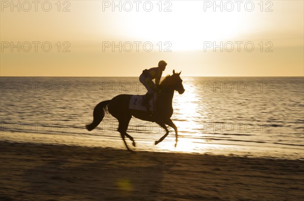 Rider riding towards the starting gate