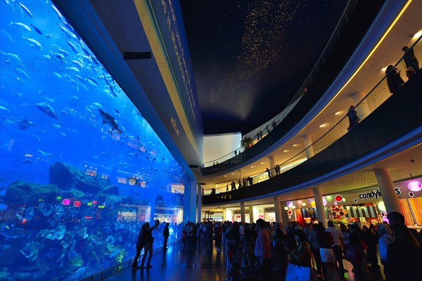 Aquarium in the Dubai Mall shopping centre