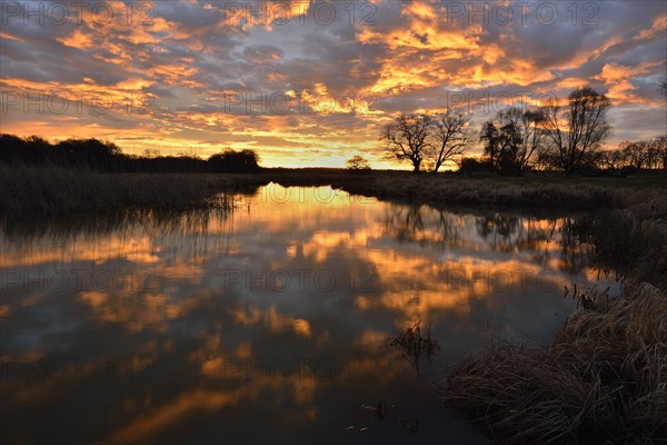Sunrise over the Leiner See lake in the Middle Elbe Biosphere Reserve