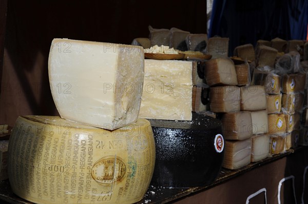Parmesan and other hard cheeses on display at the annual All Saints Market in Cocentaina