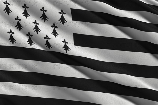 Flag of Brittany