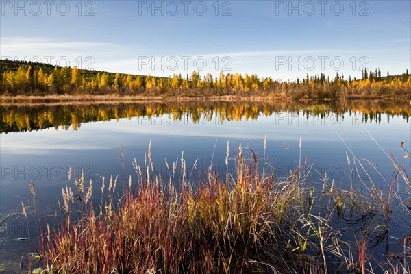 Small lake in autumn