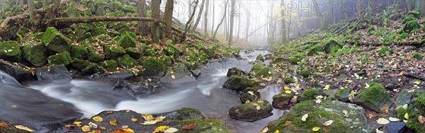 Stream with moss-covered basalt stones and fallen tree trunks