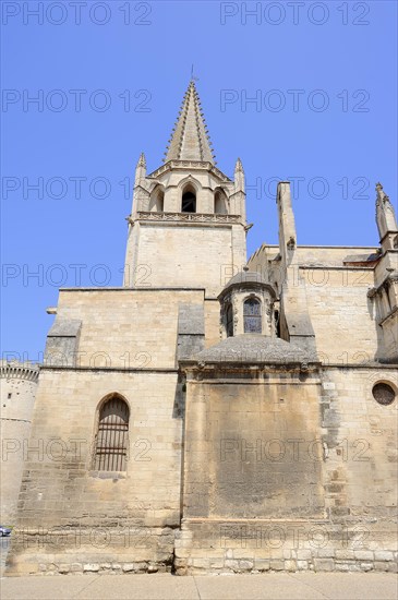Eglise collegiale Ste Marthe
