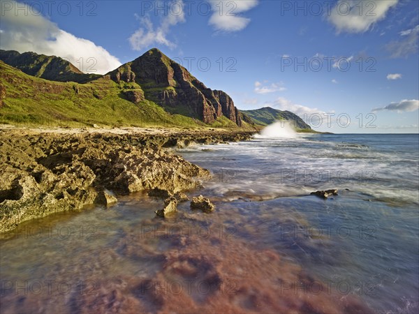 Coast at Ka'ena Point State Park