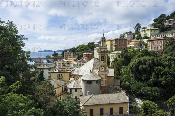 Townscape Zoagli