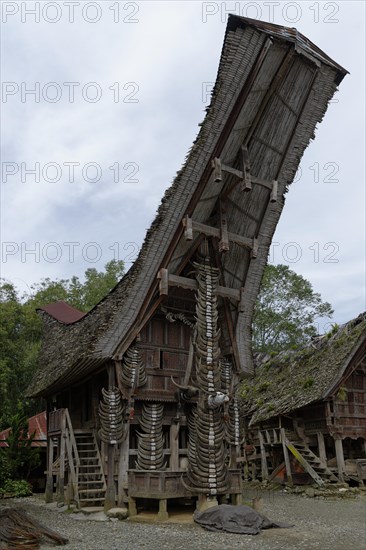 Traditional Tongkonan storage house