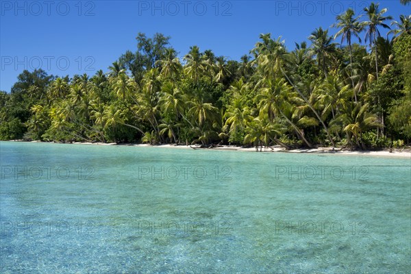Lagoon with a sandy beach and palm trees
