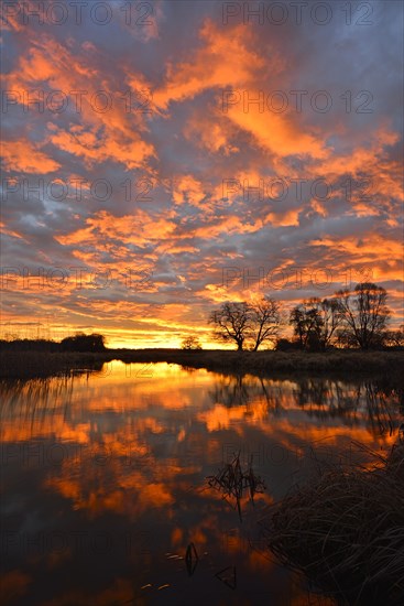 Sunrise over the Leiner See lake in the Middle Elbe Biosphere Reserve