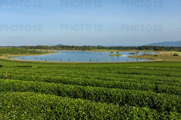 Boon Rawd Farm