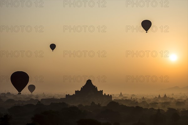 Hot air balloons over the landscape in the early morning fog