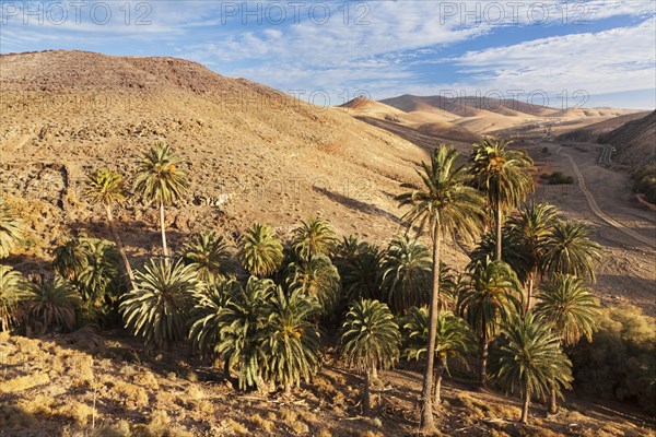 Landscape of Barranco de la Madre de Agua