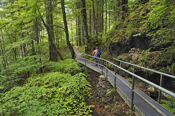 Mountain biker near Hinterstein