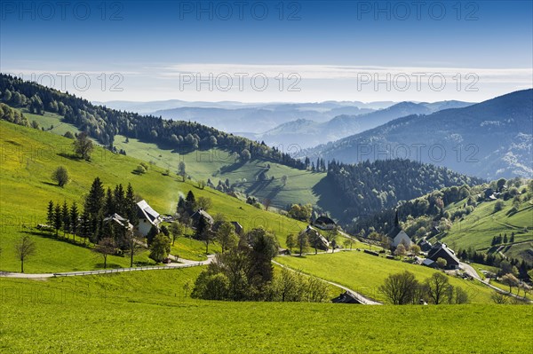 Hofsgrund at Mt Schauinsland