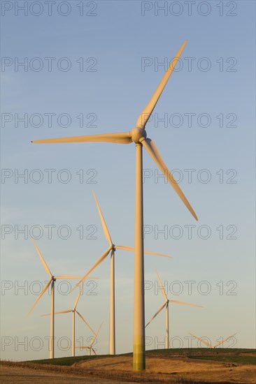 Windmills in the evening light on a wind farm near Sanlucar de Barrameda