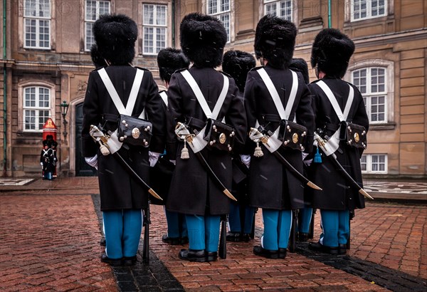 Royal Life Guards