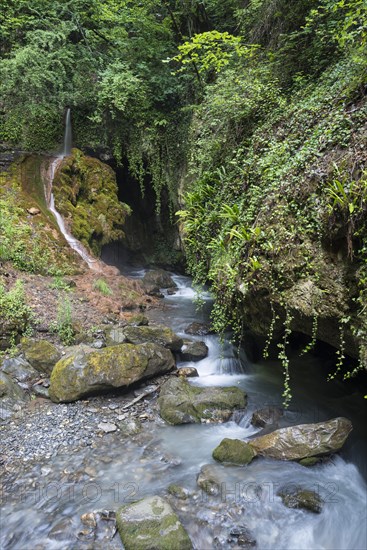 Cave in the ravine of the Salentze River