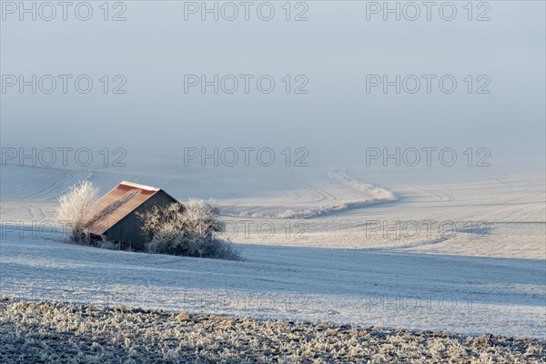 Barn in a field