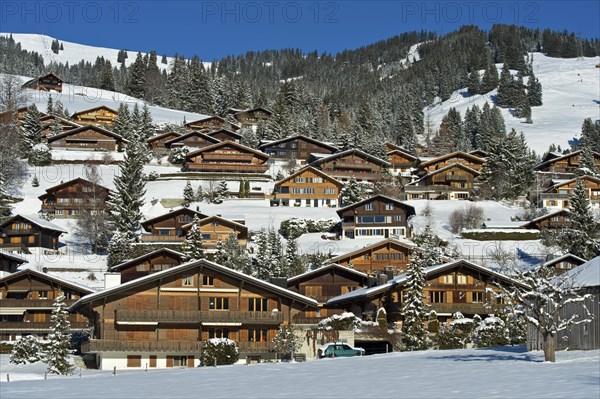 Swiss chalets in a winter landscape in Saanenland