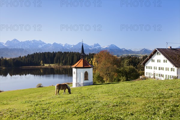 Chapel on Lake Hergratsried with Allgau Alps
