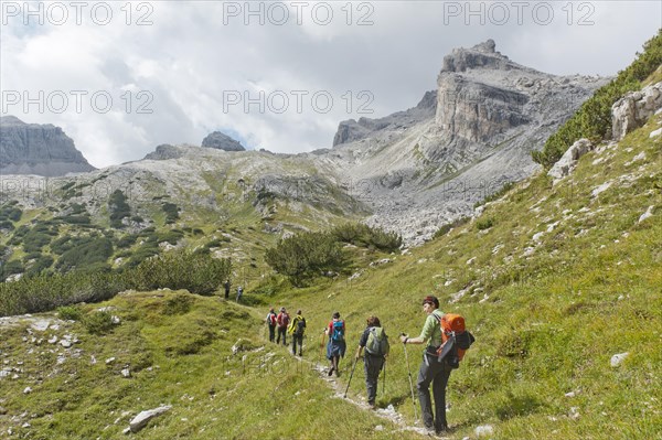 Hikers on a trail