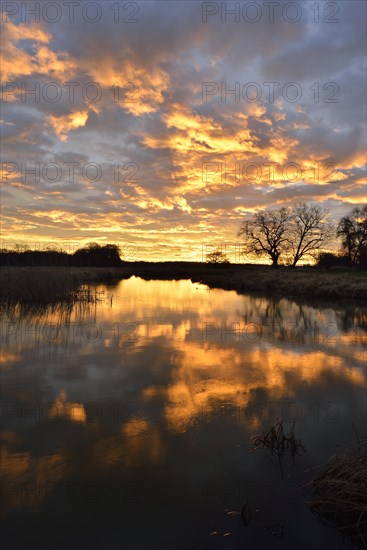 Sunrise over the Leiner See lake in the Middle Elbe Biosphere Reserve