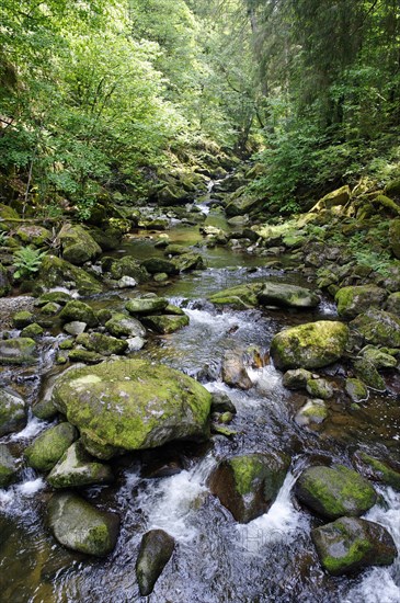 Wolfsteiner Ohe river