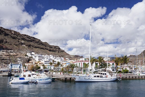 Boats in the harbor