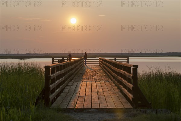Evening mood at Jezioro Lebsko or Lebsko Lake