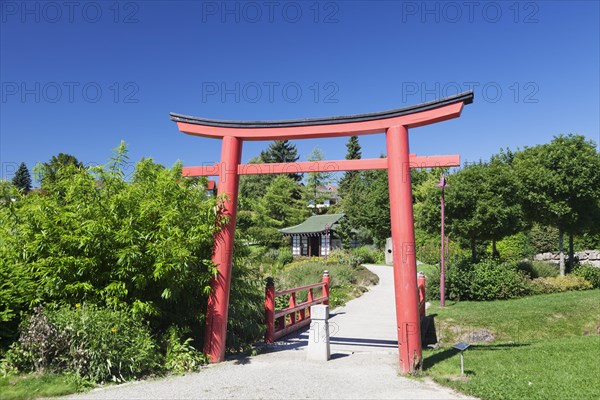 Japanese Garden