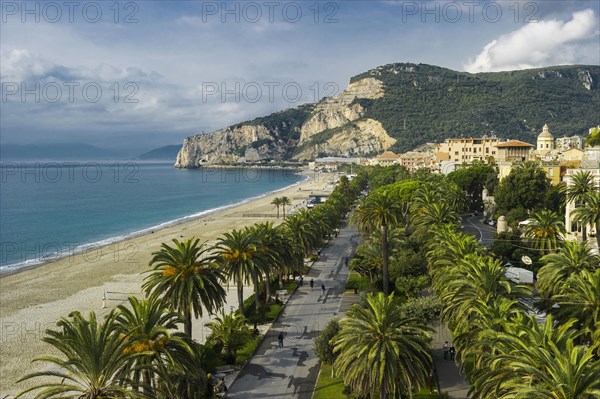 Palm avenue