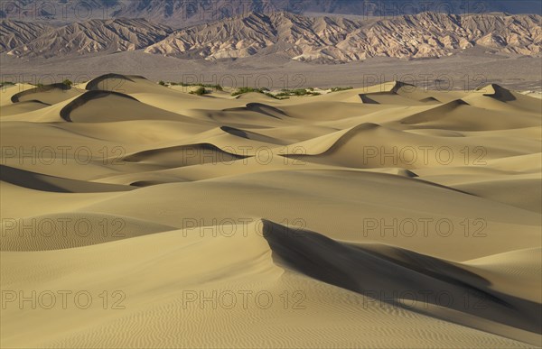 Mesquite Flat Sand Dunes in the evening light