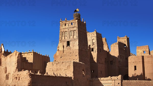 Stork nesting on the Glaoui Kasbah