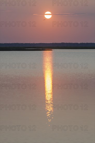 Sunset at Jezioro Lebsko or Lebsko Lake