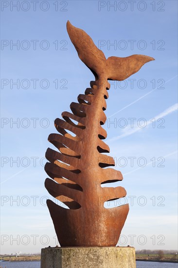Fish bone sculpture