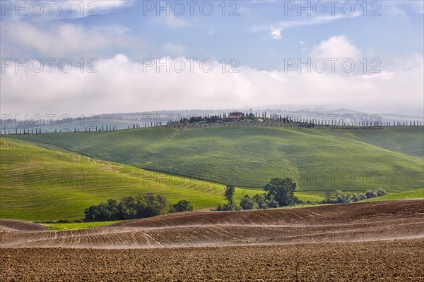 Hilly landscape of the Crete Senesi