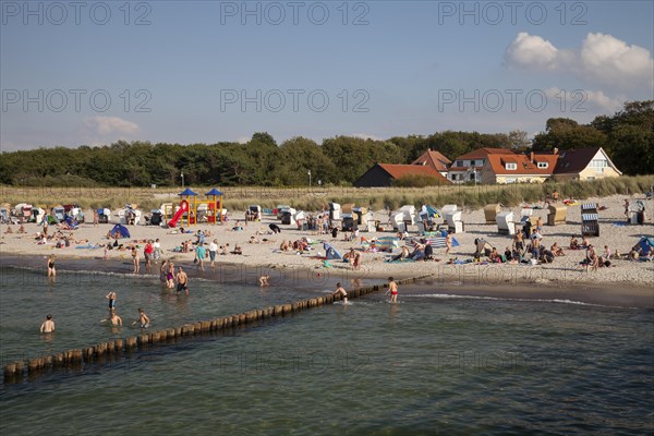 Sandy beach and coast