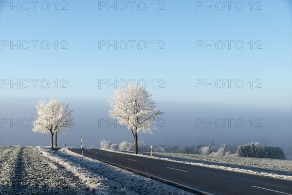 Country road with hoarfrost at Witthoh ridge