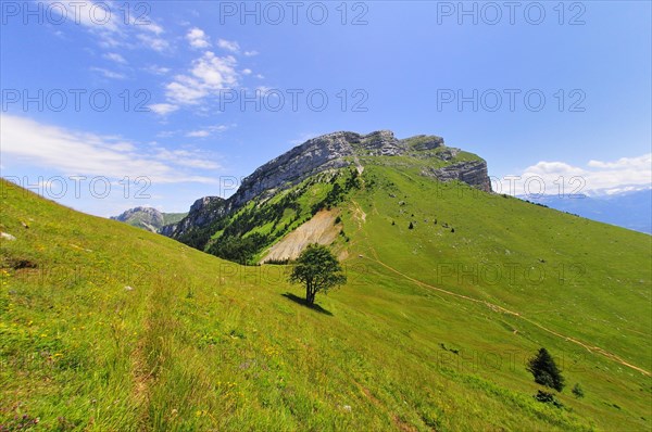 View from the mountain pass Col des Ayes on the Dent de Crolles mountain